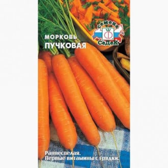 Морковь Пучковая  Седек изображение 2
