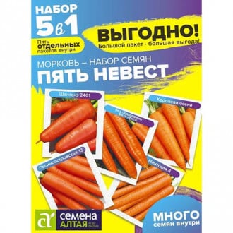 Морковь Пять Невест, смесь сортов изображение 8