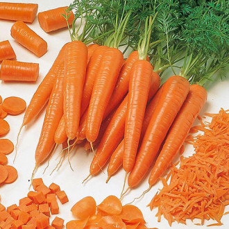 Морковь Семеновна F1 Premium Seeds изображение 4