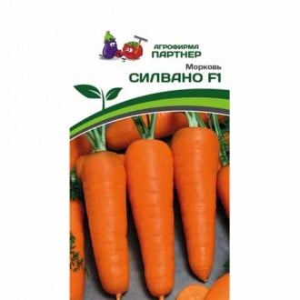 Морковь Силвано F1 Партнер изображение 4