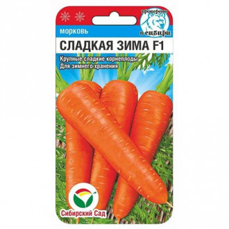Морковь Сладкая зима F1 Сибирский сад изображение 4