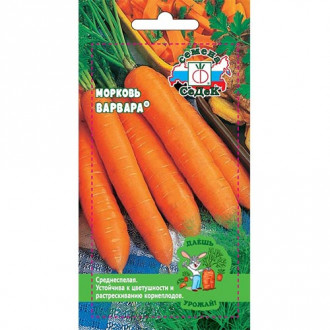 Морковь Варвара Седек изображение 4