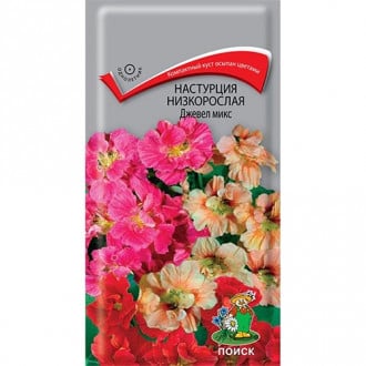 Настурция Джевел, смесь окрасок Поиск изображение 12