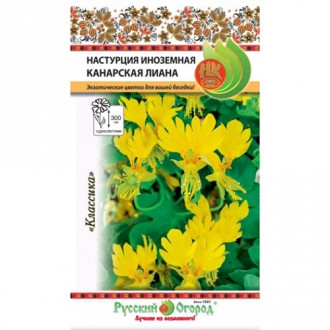 Настурция иноземная Канарская лиана НК фото 9 Настурция иноземная Канарская лиана НК изображение 9