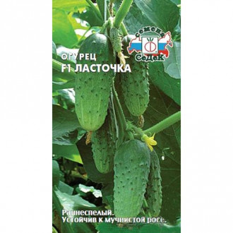 Огурец Ласточка F1 Седек изображение 15