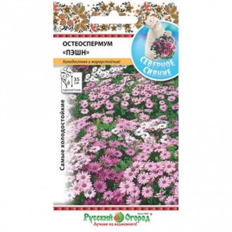 Остеоспермум Пэшн, смесь окрасок НК изображение 12