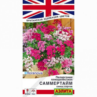 Пеларгония плющелистная Саммертайм, смесь окрасок Аэлита изображение 5