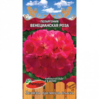Пеларгония Венецианская роза F1 изображение 7
