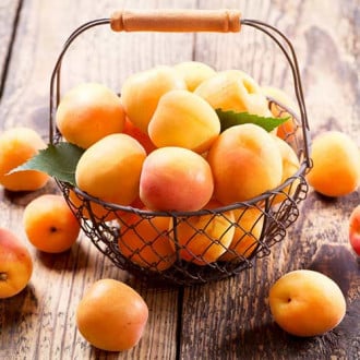 Персик-абрикос Медовый месяц изображение 4