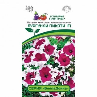 Петуния многоцветковая каскадная БеллаДонна Бургунди Пикоти F1 Партнер изображение 6