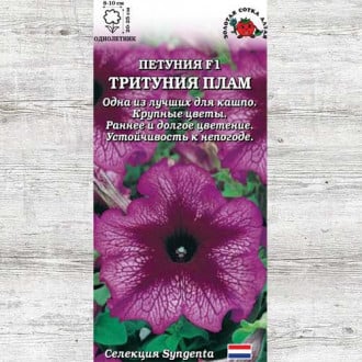 Петуния Тритуния Плам изображение 5