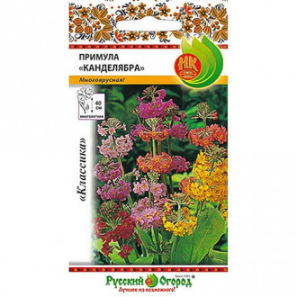 Примула Канделябра, смесь окрасок НК изображение 11
