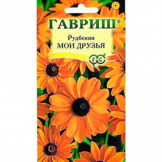 Рудбекия Мои друзья Гавриш изображение 13