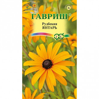 Рудбекия Янтарь, смесь окрасок Гавриш изображение 4