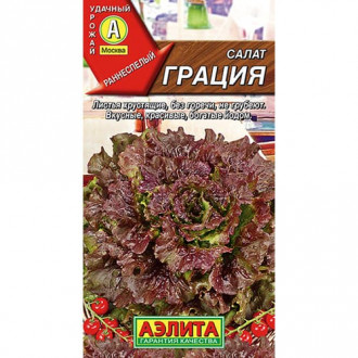 Салат листовой Грация Аэлита изображение 2