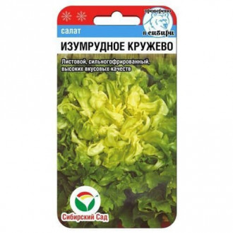 Салат листовой, кудряволистный Изумрудное кружево Сибирский сад изображение 2