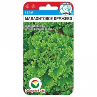 Салат листовой, кудряволистный Малахитовое кружево Сибирский сад изображение 2