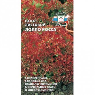 Салат листовой Лолло росса Седек изображение 1