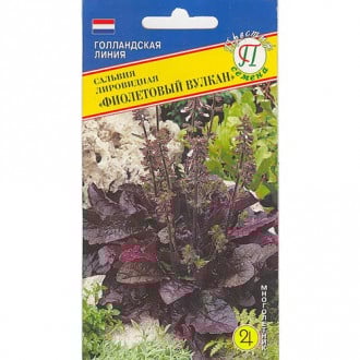 Сальвия Фиолетовый вулкан Престиж изображение 10