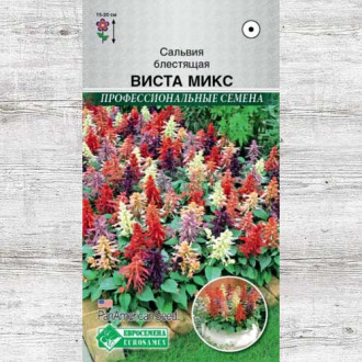 Сальвия Виста, смесь окрасок изображение 16