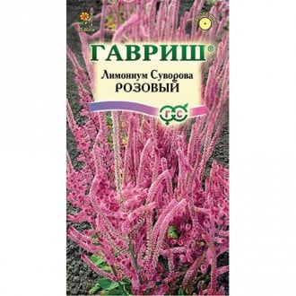 Статица (лимониум) Суворова розовый Гавриш изображение 4