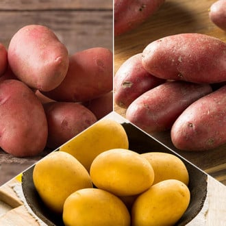Комплект картофеля Урожайный из 3 сортов изображение 3