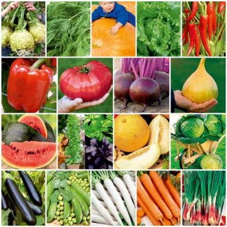 Суперпредложение! Набор семян овощей-гигантов из 18 упаковок изображение 2