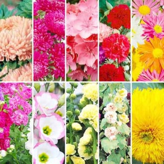 Суперпредложение! Набор семян Цветы для букета из 10 упаковок изображение 3