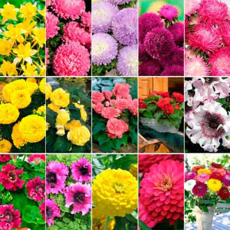 Суперпредложение! Набор семян Цветы Русский богатырь из 15 упаковок изображение 2