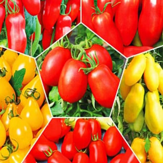 Суперпредложение! Набор семян Перцевидные помидоры из 6 упаковок изображение 1
