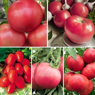 Суперпредложение! Набор семян помидоров Малиновое чудо 2 из 5 упаковок изображение 2