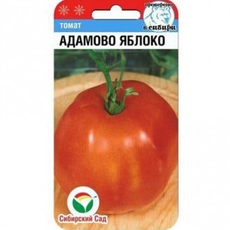 Томат Адамово яблоко Сибирский сад изображение 3