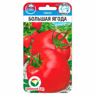 Томат Большая ягода Сибирский сад изображение 3