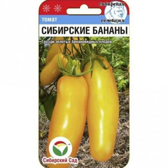 Томат Сибирские бананы Сибирский сад изображение 6