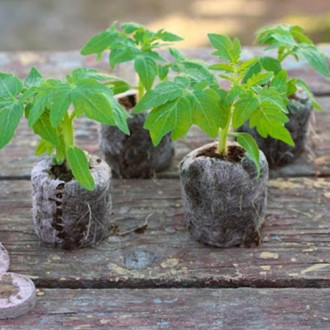 Торфяные таблетки Bt-37 для проращивания семян изображение 10