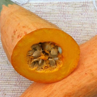 Тыква Розовый банан, семена изображение 8