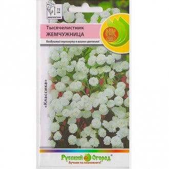 Тысячелистник (ахиллея) Жемчужница НК изображение 14