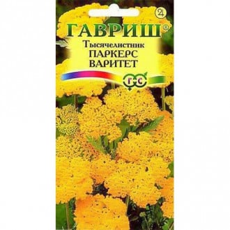 Тысячелистник (ахиллея) Паркерс Варитет Гавриш изображение 9