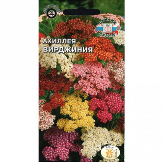 Тысячелистник (ахиллея) Вирджиния, смесь окрасок Седек изображение 4