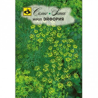 Укроп Эйфория Семко изображение 10