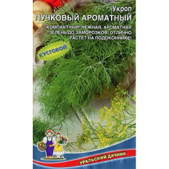 Укроп Пучковый ароматный Уральский дачник изображение 16