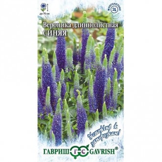 Вероника длиннолистная Синяя Гавриш изображение 17