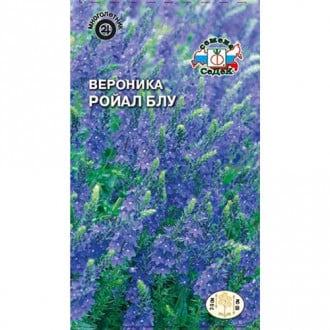 Вероника колосистая Ройал Блу Седек изображение 9
