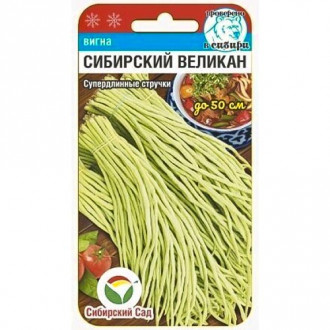 Вигна Сибирский великан Сибирский сад изображение 5