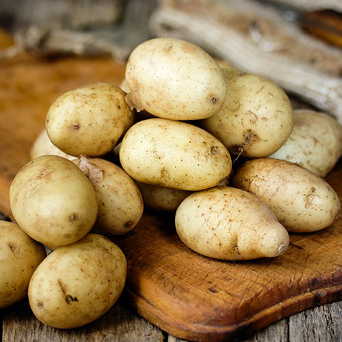 Картофель Императрица изображение 1 артикул 5665