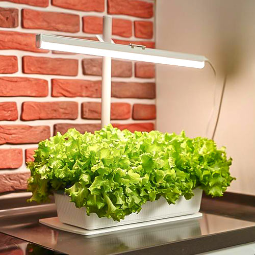 Фитолампа Растущий «Здоровья клад» 9 Вт изображение 1 артикул 85220