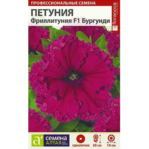 Петуния Фриллитуния Бургунди F1 Семена Алтая артикул фото 1 Петуния Фриллитуния Бургунди F1 Семена Алтая изображение 1 артикул 84777
