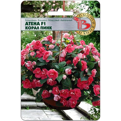 Бальзамин Валлера Атена Корал Пинк F1 Биотехника изображение 1 артикул 84610