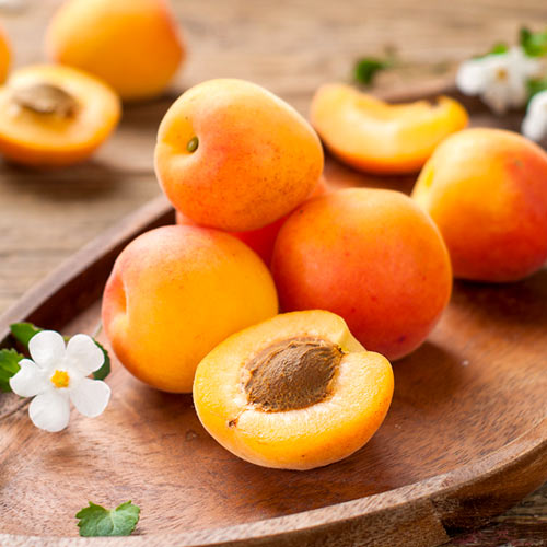 Абрикос Десертный артикул фото 1 Абрикос Десертный изображение 1 артикул 4141