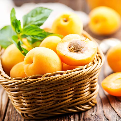 Абрикос Медовый изображение 1 артикул 7401